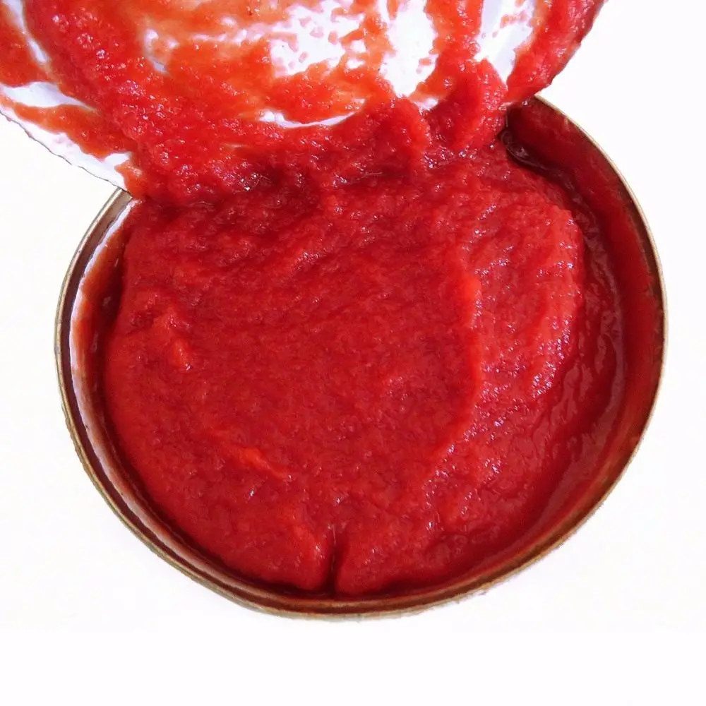 Wholesale Canned Tomato Paste Tomato Ketchup Sachet Tomato paste