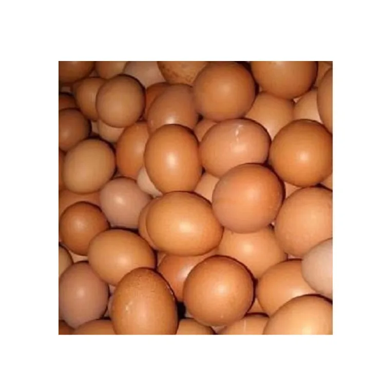 Cheap Price Wholesale Fresh Chicken Eggs For Sale In bulk Farm Fresh Chicken Brown Eggs for Sale