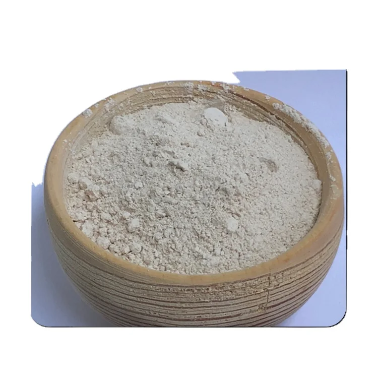 Indian Origin Natural Kieselguhr Catalyst/Diatomaceous Earth Powder at Cheap Price