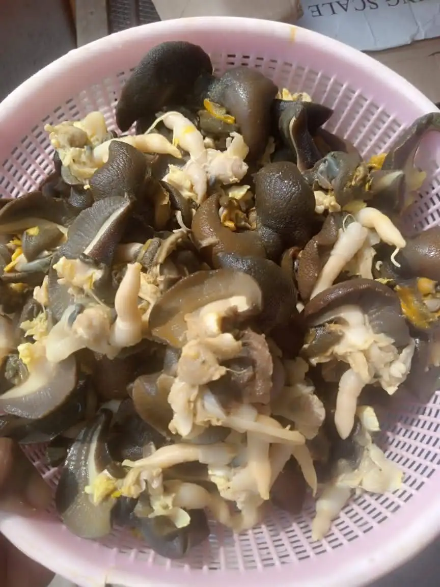 Giant African Land Snails for sale,High Quality Edible Snails Frozen,Dried ,Fresh Snails For sale