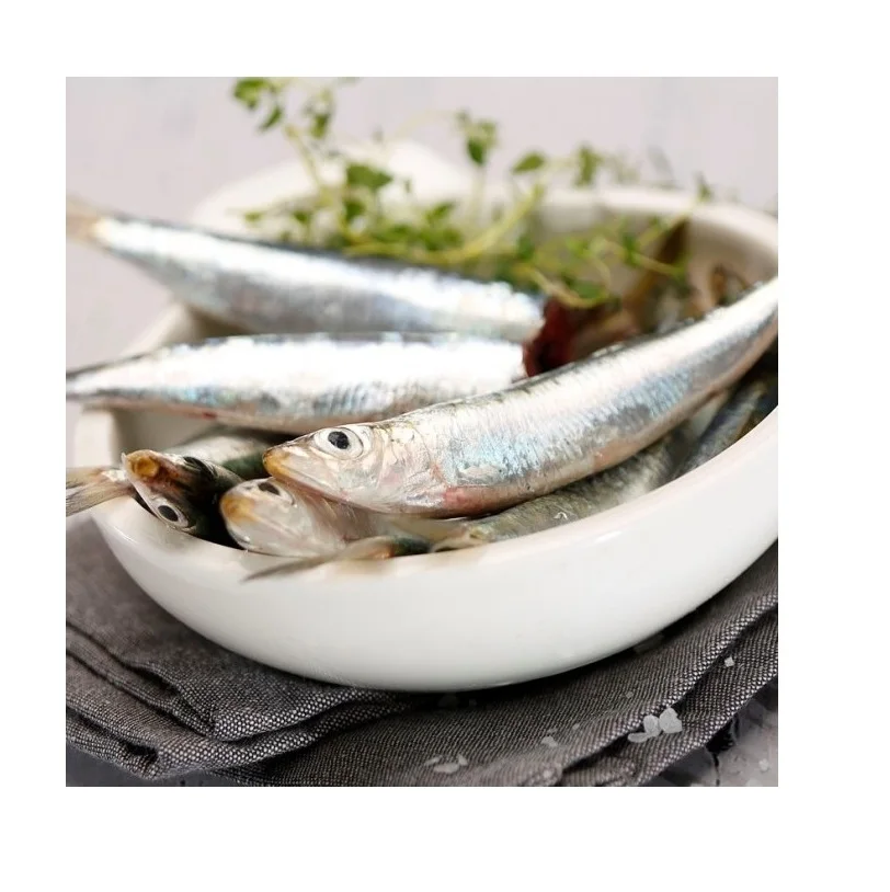 Оптовый дилер и поставщик морепродуктов Bqf целая круглая Сардина лучшее качество лучшая заводская цена оптом купить онлайн