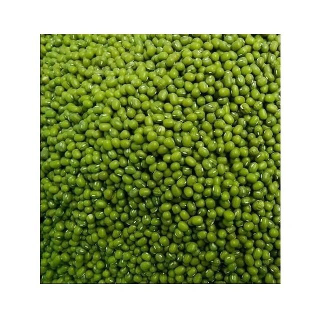 Buy Mung Beans Online | Wholesale Supplier