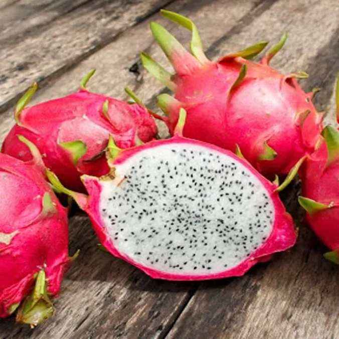 Providing Vietnamese Red Dragon Fruits at competitive prices, dragon fruit