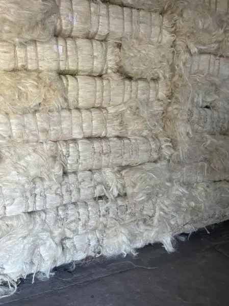Best quality cheap 100% natural Sisal Fibre / Sisal Hemp / Natural UG Grade Wholesale