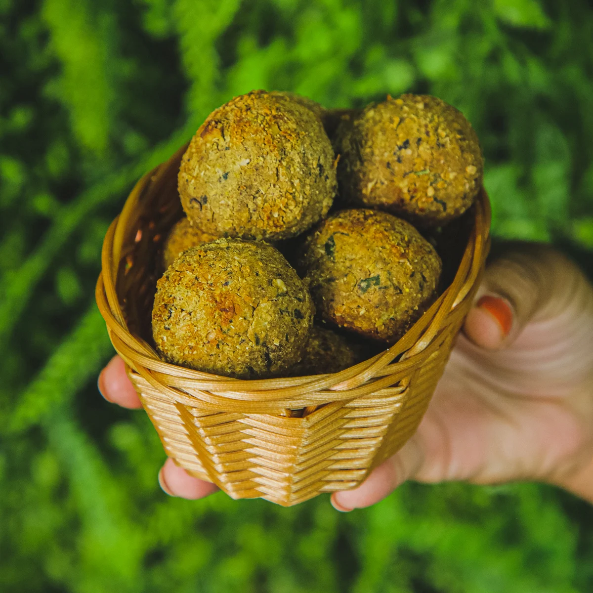 Frozen Falafel Balls Rich in Chickpea Protein Amazonika Mundi with Amazon Spices Sustainable Exotic Snacks Wholesale