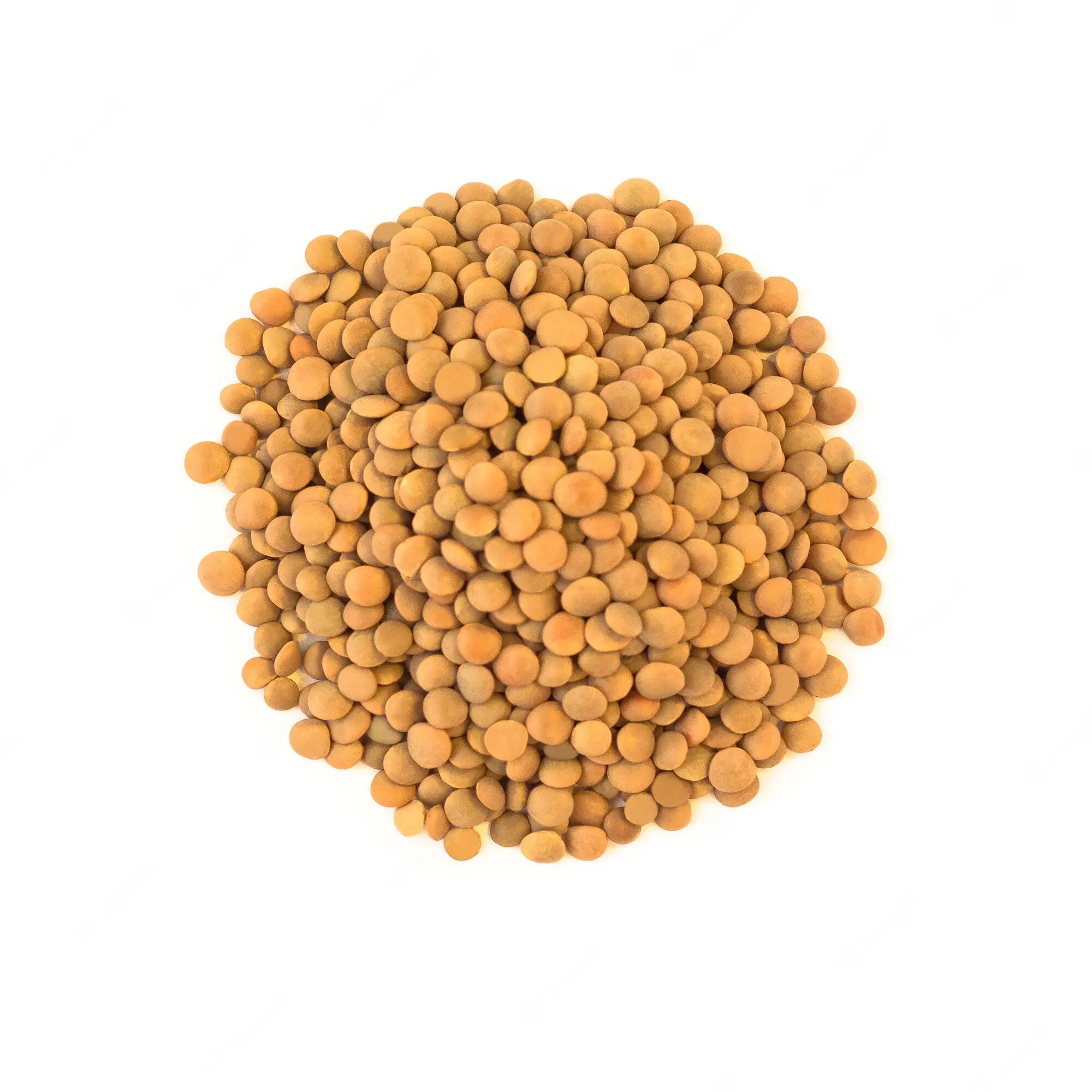 New Product Quality Red Lentils/Green Lentils/ Yellow Lentils