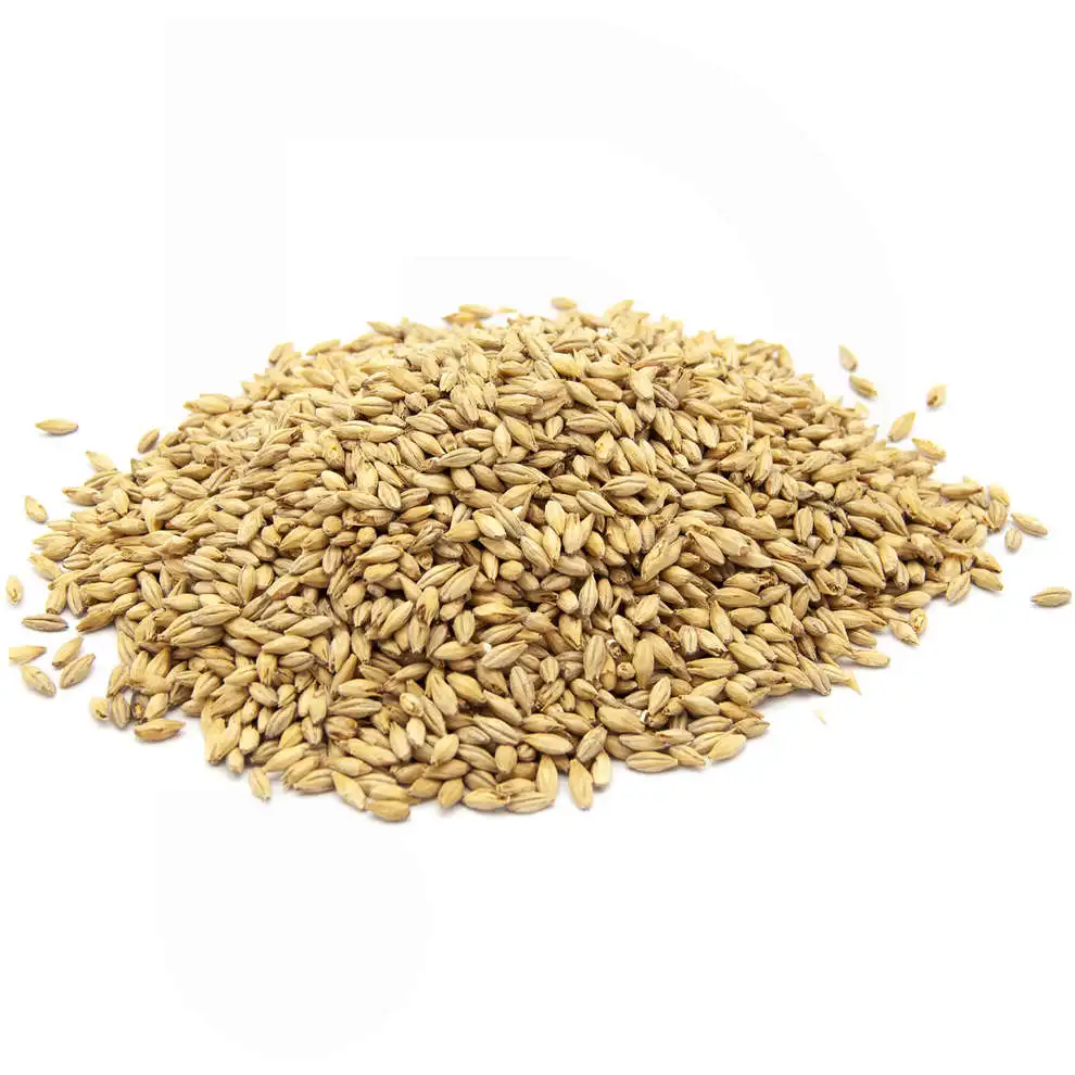 Barley for Malt, Barley Grain