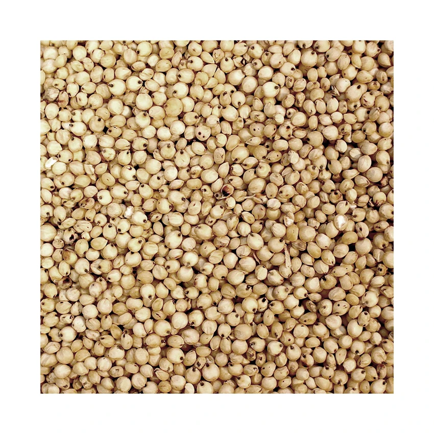 Soybean Wholesale Organic Best Price Frozen Soybean Price