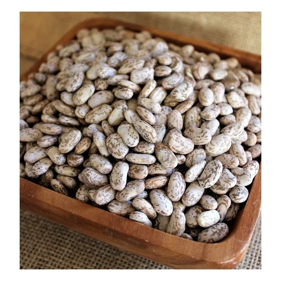 Оптовая цена, легкая зернистая фасоль, производство фабрики, сухая пинтовая фасоль