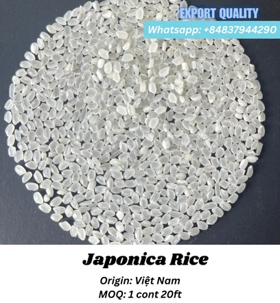 The good White Rice JAPONICA RICE has been Produced Company in Vietnam High-quality Product Usage Domestic Market