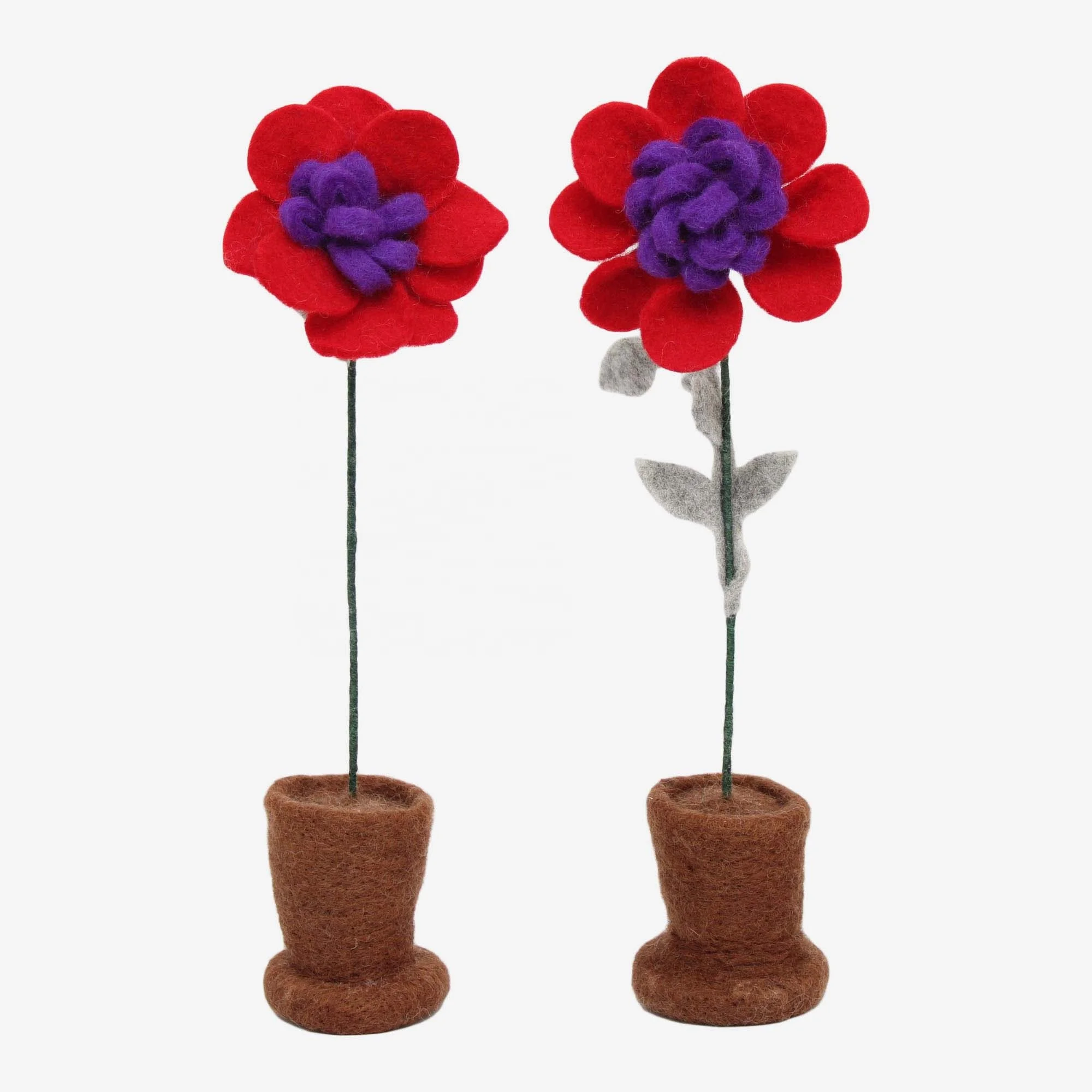 Натуральные органические овечьи валяные цветы из Новой Зеландии, украшение для комнаты ручной работы, устойчивый продукт, подарки и поделки