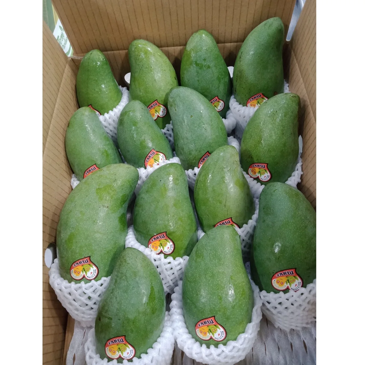 Organic Vietnam Green Mango Sweet/Sour Tropical & Sub-Tropical Fruit Fresh Agriculture Product