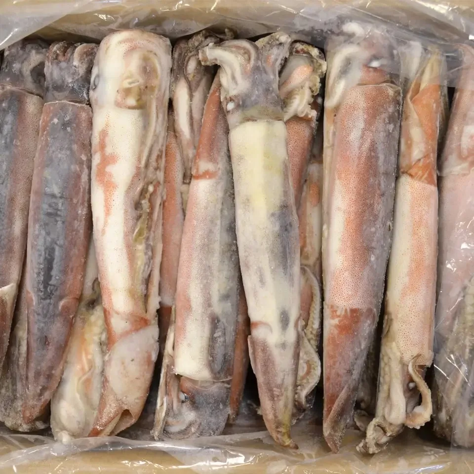 Высококачественный замороженный свежий круглый кальмар