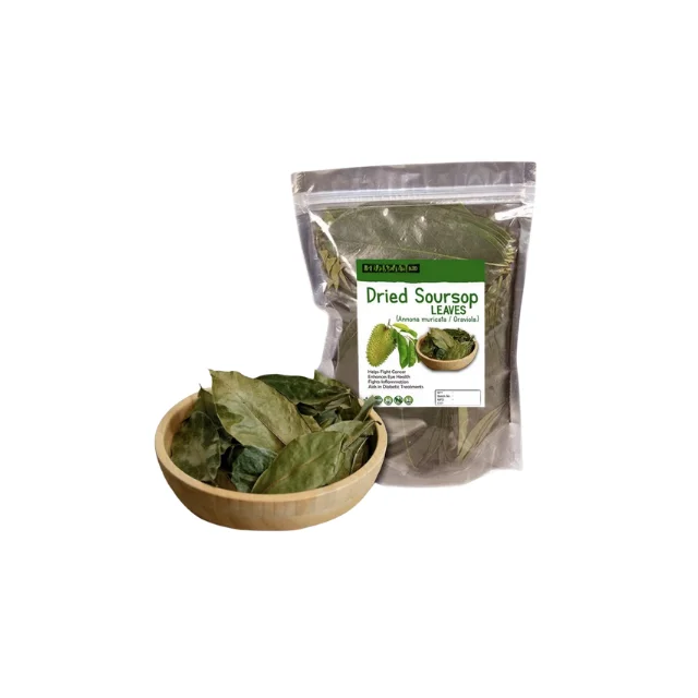 Premium Quality 100% Pure Organic Dried Natural Green Whole Soursop Leaves for Herbal Tea