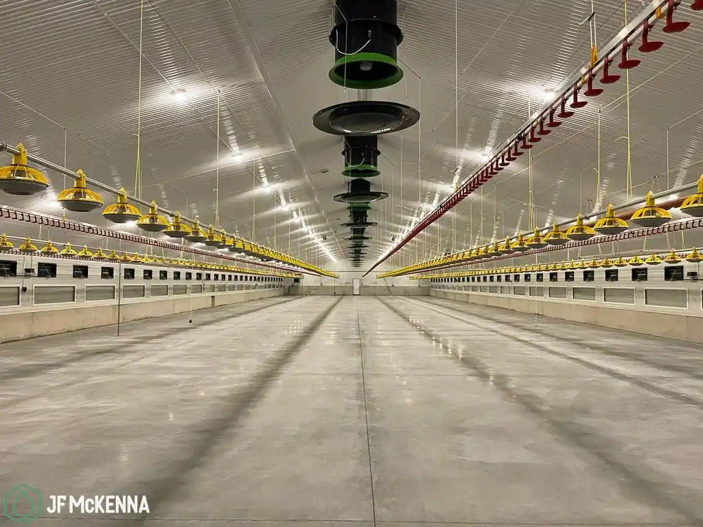 Large Span Steel Structure Fabrication Chicken Shed