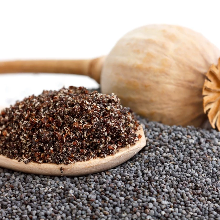 QUALITY CUMIN SEEDS FOR SALE.