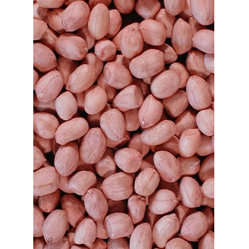 Fresh Quality Kernal Dried Java Peanut Indian Grade Ground Nut Kacang Tanah Peanut Available At Reasonable Price