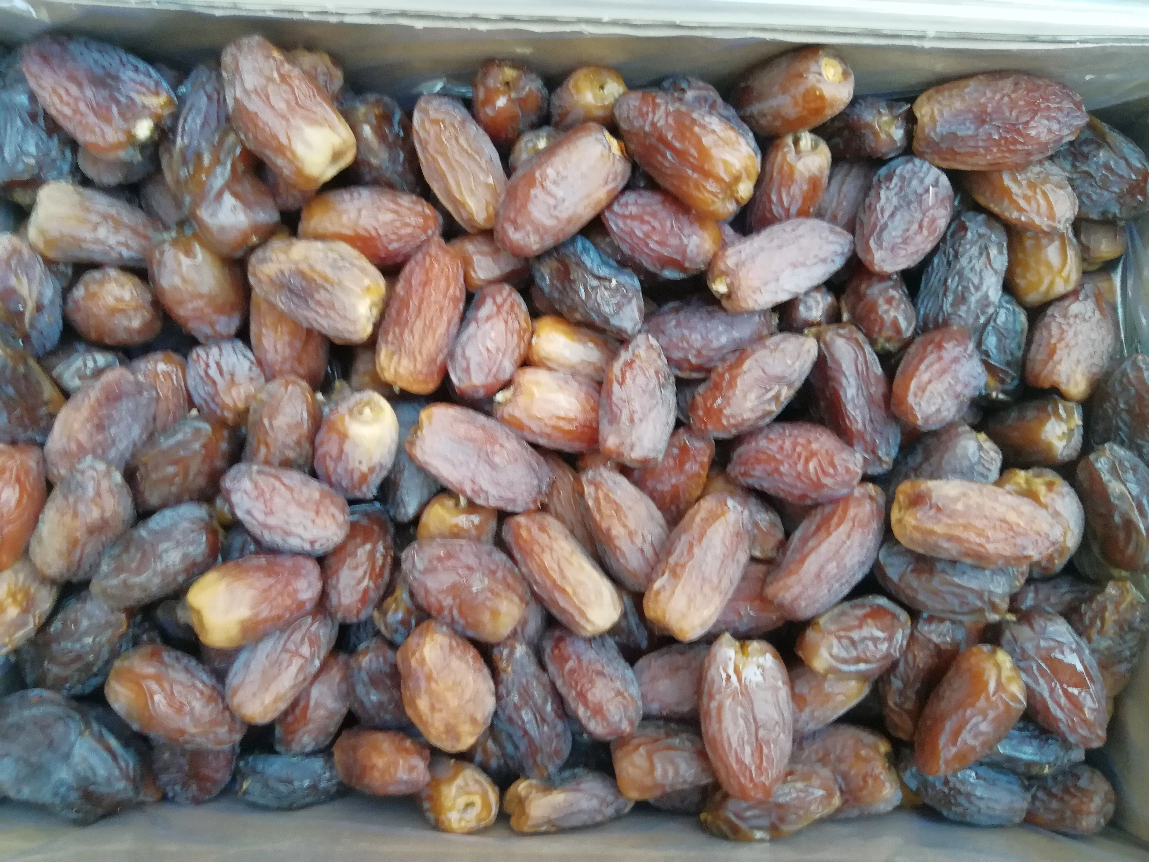 Premium Quality Medjool dates from Saudi Arabia Medjoul Medjool