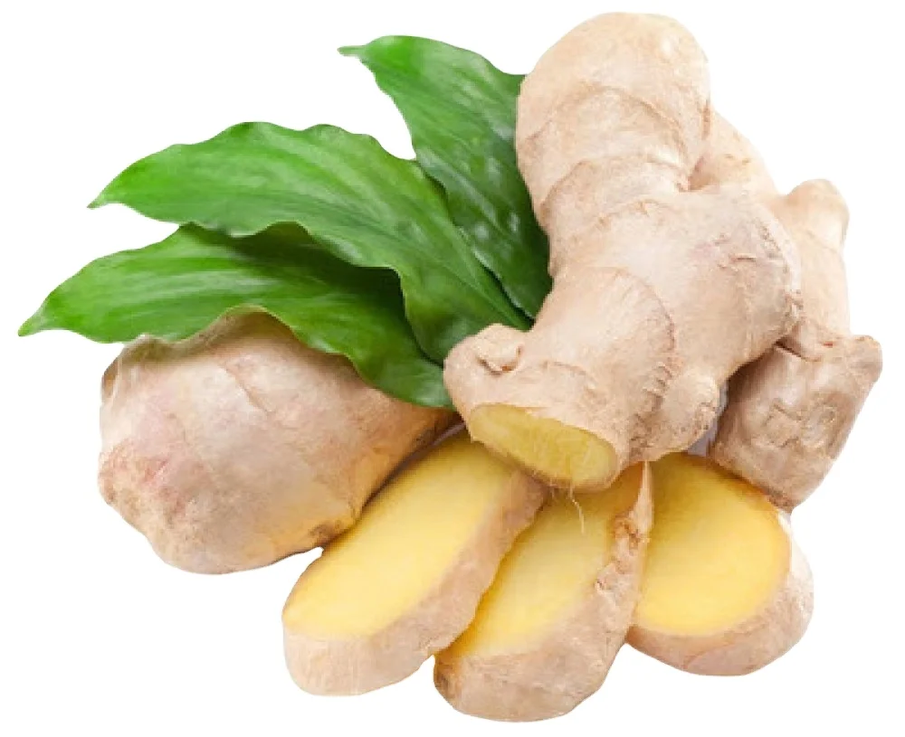 High quality wholesales dried fresh ginger dehydrated spice export Vietnam best selling 2023