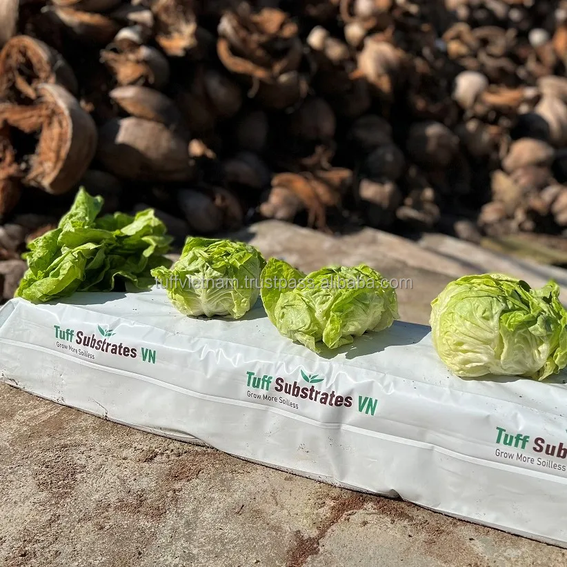 Environmentally Cocopeat Growbag 28L  Good Price High Quality Low MOQ Hot Sell From Viet Nam Agriculture brand from Tuff Vietnam