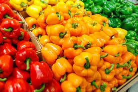 Fresh Bell Pepper 100% Natural Capsicums Tropical & Subtropical