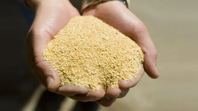 Корм для соевого шрота 48%/премиум-класса без GMO соевый шрот и корма животных низкая цена