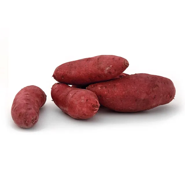 PURPLE SWEET POTATOES with Cheap Price / High Quality and Fast Delivery / Supplier from Vietnam
