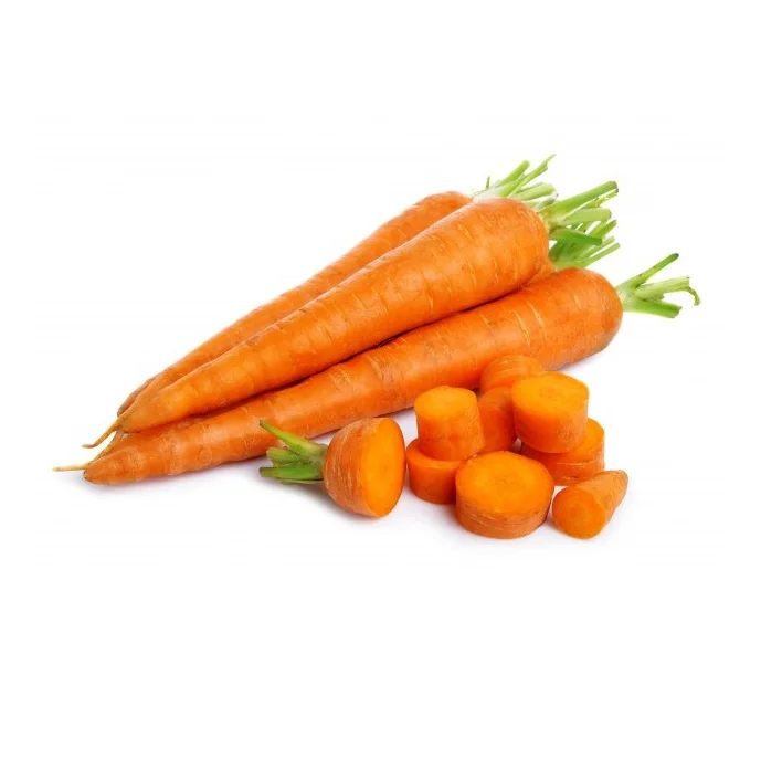 Bulk Stock Available of Fresh Vegetables Orange Carrots at Wholesale Prices