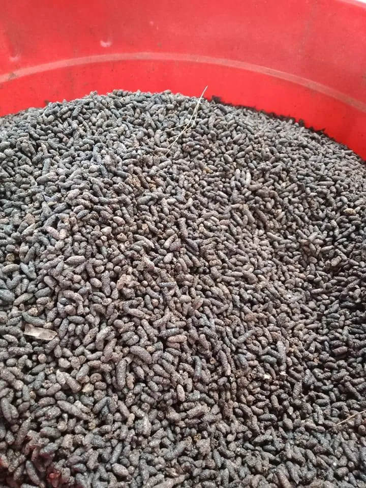 Bat Guano For Fertilizer High Quality 0084816719979