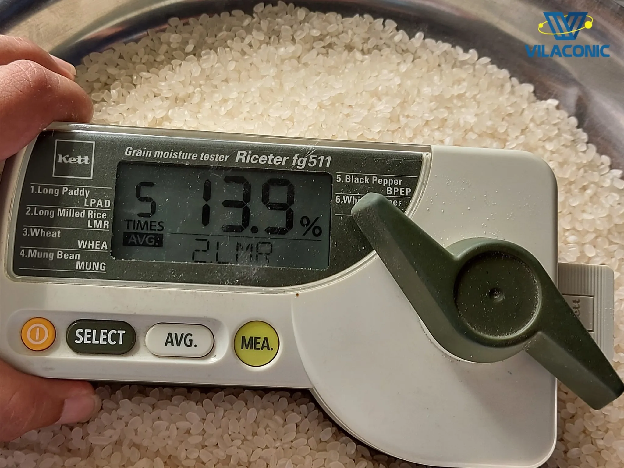 Vietnam Camolino Calrose Rice Japonica rice from Vilaconic factories _whatsapp: +84398885178