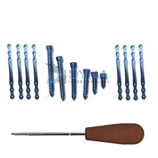 Veterinary Orthopedic Instruments Set 2.0mm Locking Mini Straight Bridge Plates with 5-10H Screws 73pcs Stainless Steel Titanium