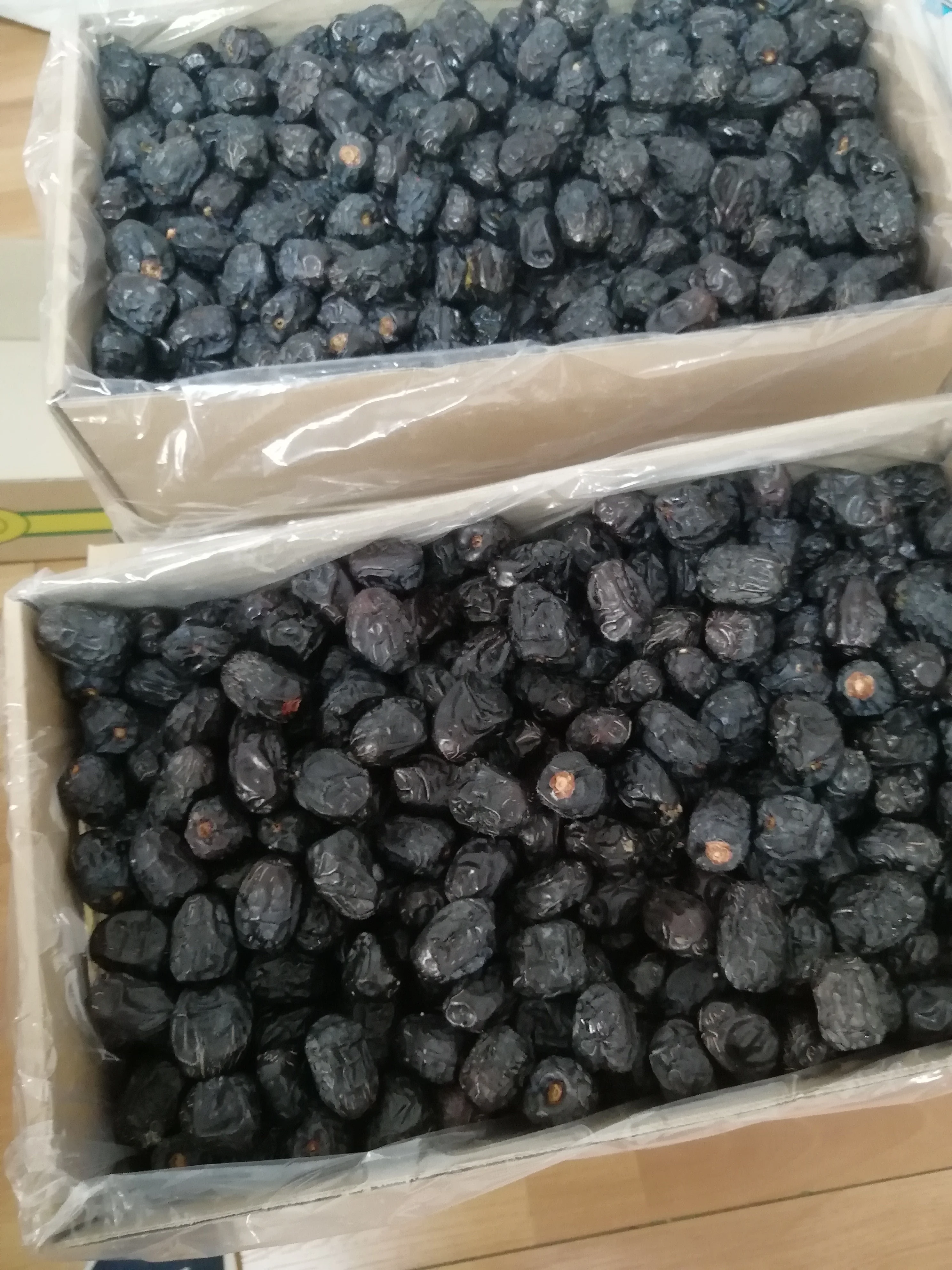 Fresh crops Ajwa dates Top qualities available Golden Supplier based in Saudi Arabia available customized packaging