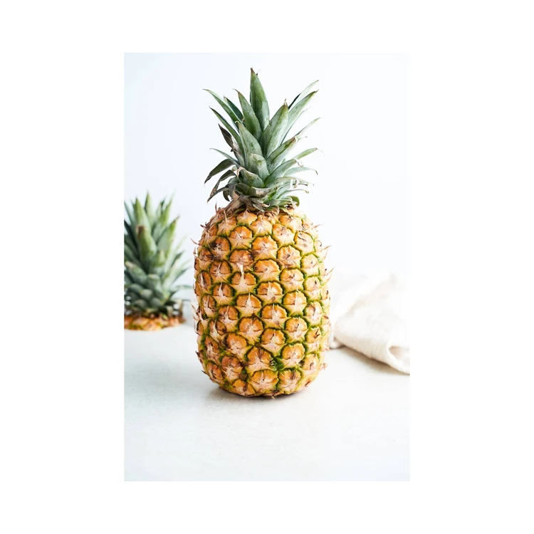 Top Product Fresh Pineapples Best Price for Delicious Tropical Fruit Direct from Austria Crop Wholesome Pineapple