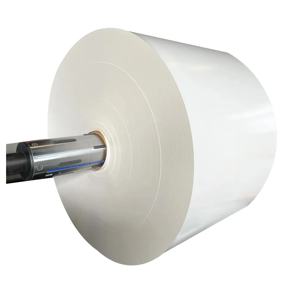 High Quality 150gsm-320 GSM White PE Paper Cup Roll Cup Paper Roll Grease Proof Waterproof Single Double Side
