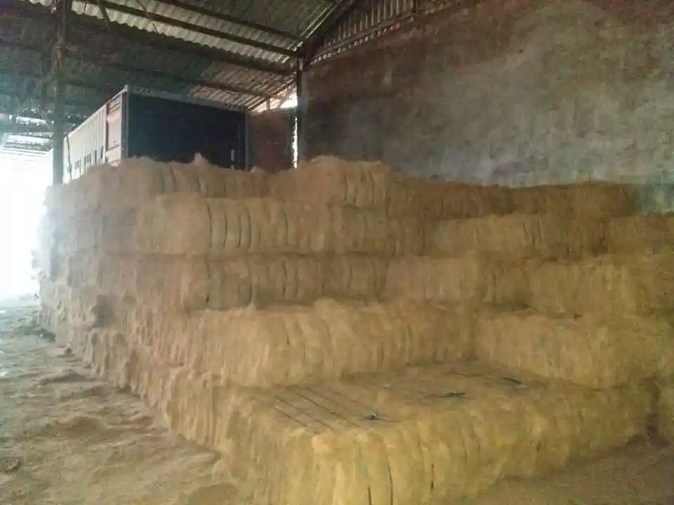 Husk fiber Extracted from The Outer Husk of Coconut Used in Many Products and Many Applications