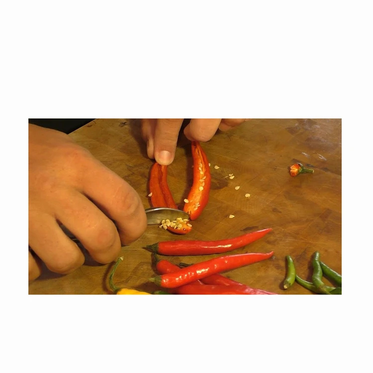 Wholesale Sweet Chili Seeds For Sale In Cheap Price Bulk Quantity Available