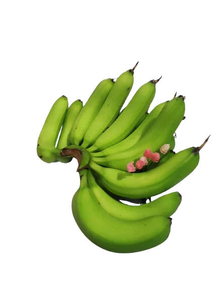 Best Sale 100% Natural High Nutrition Healthy Fresh Fruit Top Grade A789 Cavendish Banana Customize OEM ODM Service Accept Order