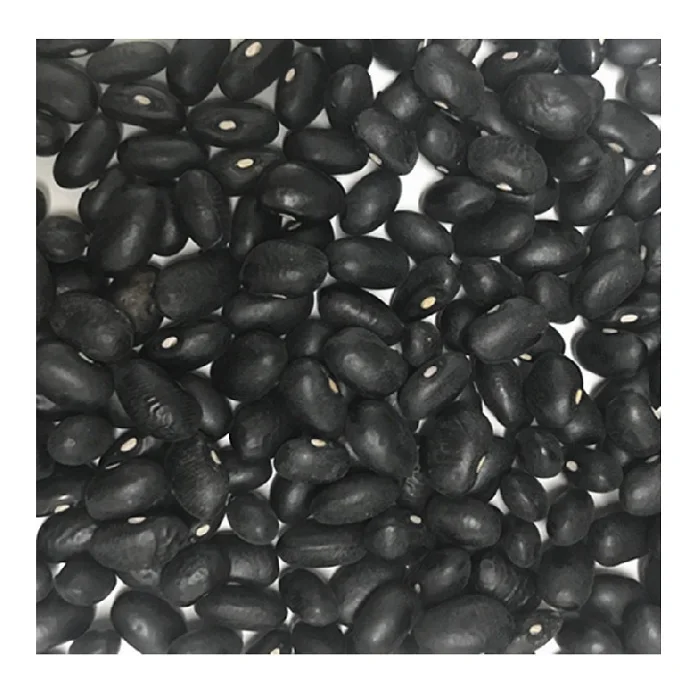 Kidney Beans 2023 New Crop Red Kidney Beans Price