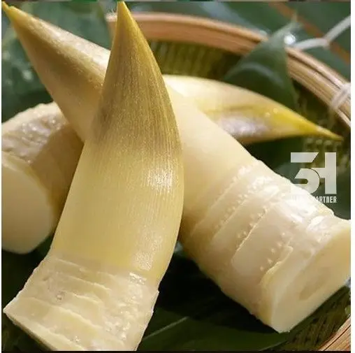 Fresh Frozen Bamboo Shoots Export Good Price And Best Quality From Viet Nam Ready To Ship