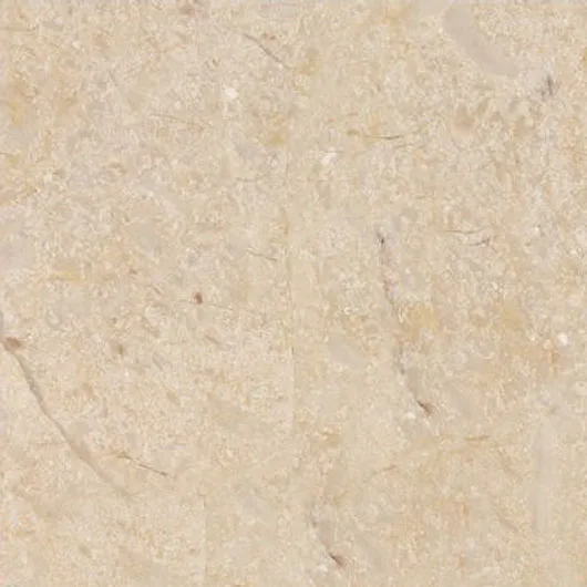 Cheapest Egyptian Filetto marble Slabs Natural White & beige Marble  for Floor Tile  polished surface