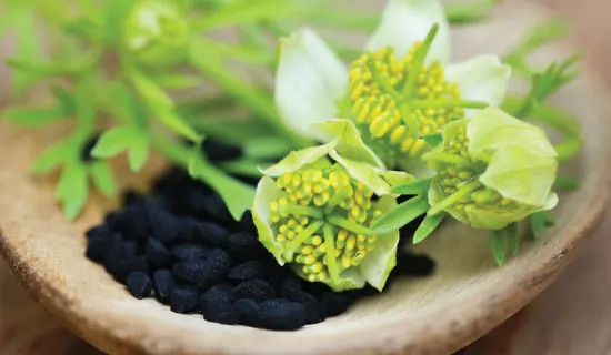 Top Grade Antioxidant Natural Halal Supplement Habbatus Nigella Sativa 60 softgel for general health well-being