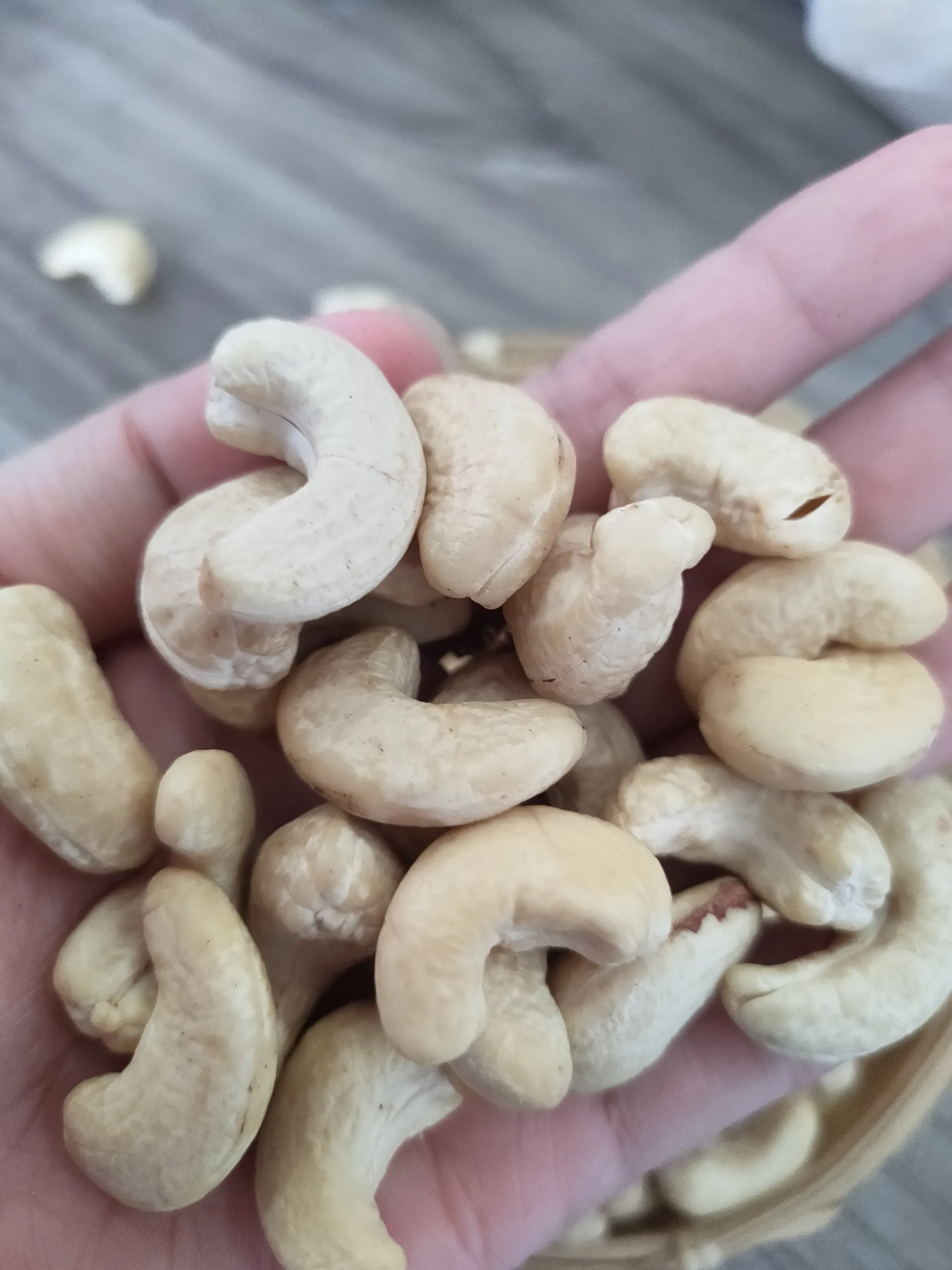 [Free Sample] Vietnam Raw Cashew Nut Kernel Fresh Roasted and Dried for Food WW320 & WW240 & WW450 Grade Processed - ANNA DO