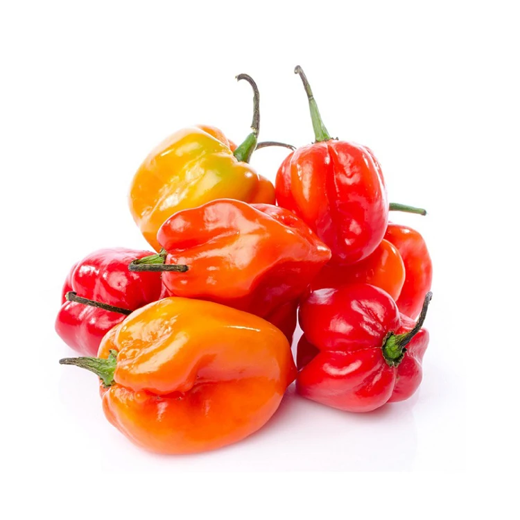 Перец Чили, перец хабанеро, 50 кг, оптовая продажа, семена укропа, свежие, хабанеро