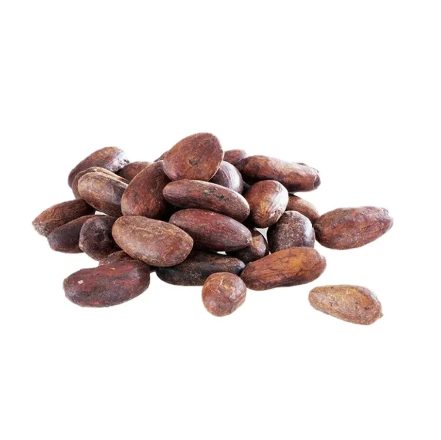 Good quality Dried Grade A Cocoa/ Cacao/ Chocolate Bean 100% Manturity Made In USA