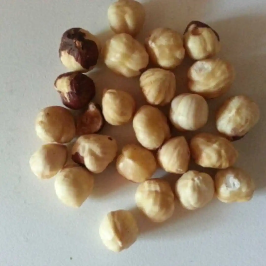Raw Hazelnut kernel Organic Grade Hazelnut kernel for sale