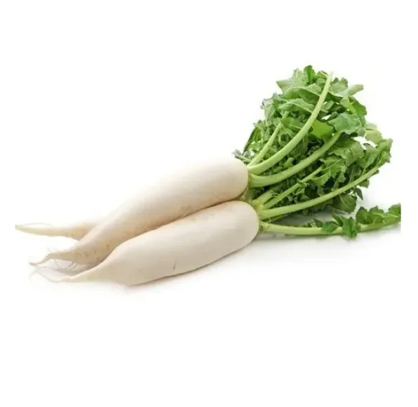 Самая дешевая цена от поставщика оптом свежие овощи редис с быстрой доставкой