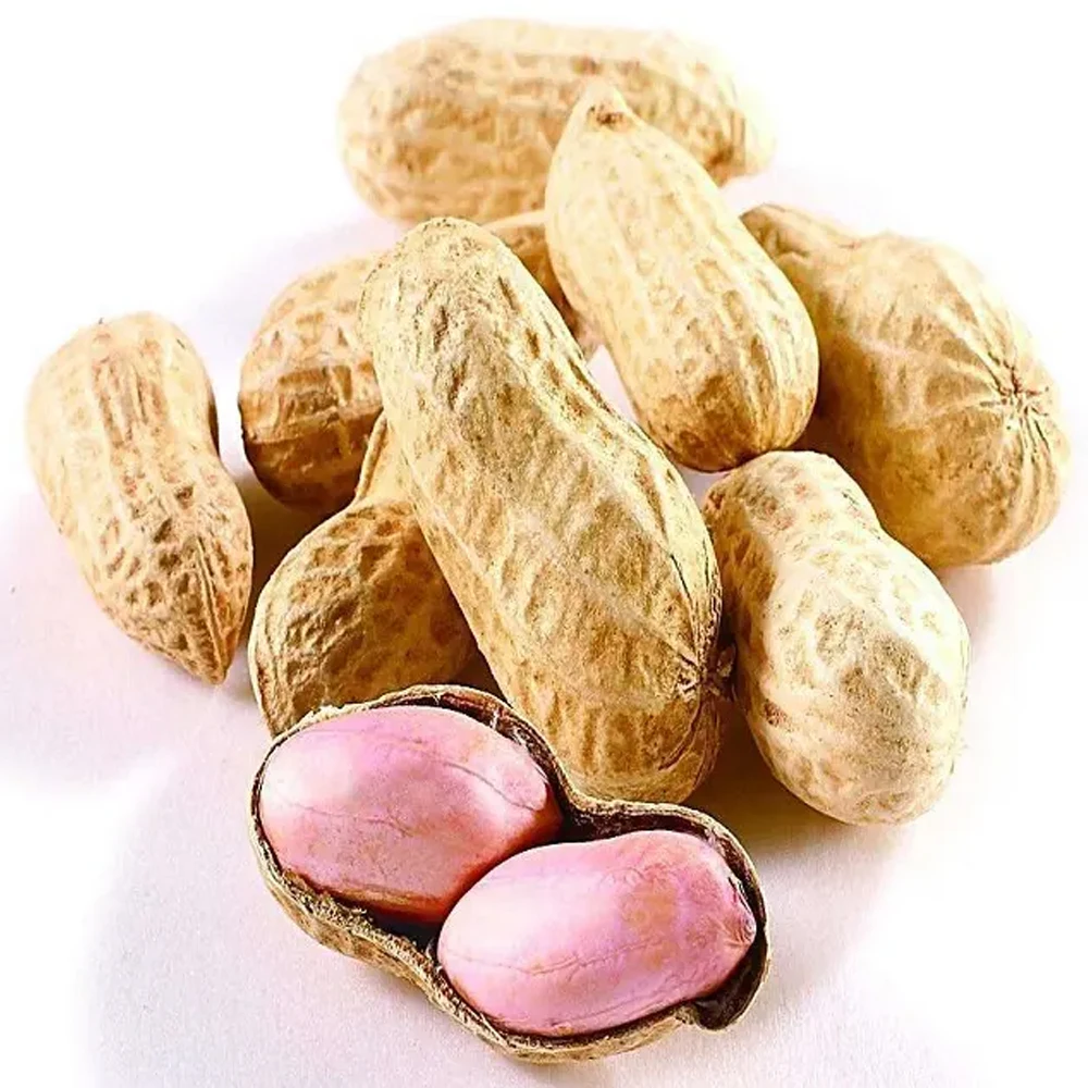 Wholesale Custom Guaranteed Quality Peanut Kernels Proper Price Raw Peanut Freshly Shelled Bulk Organic Peanuts