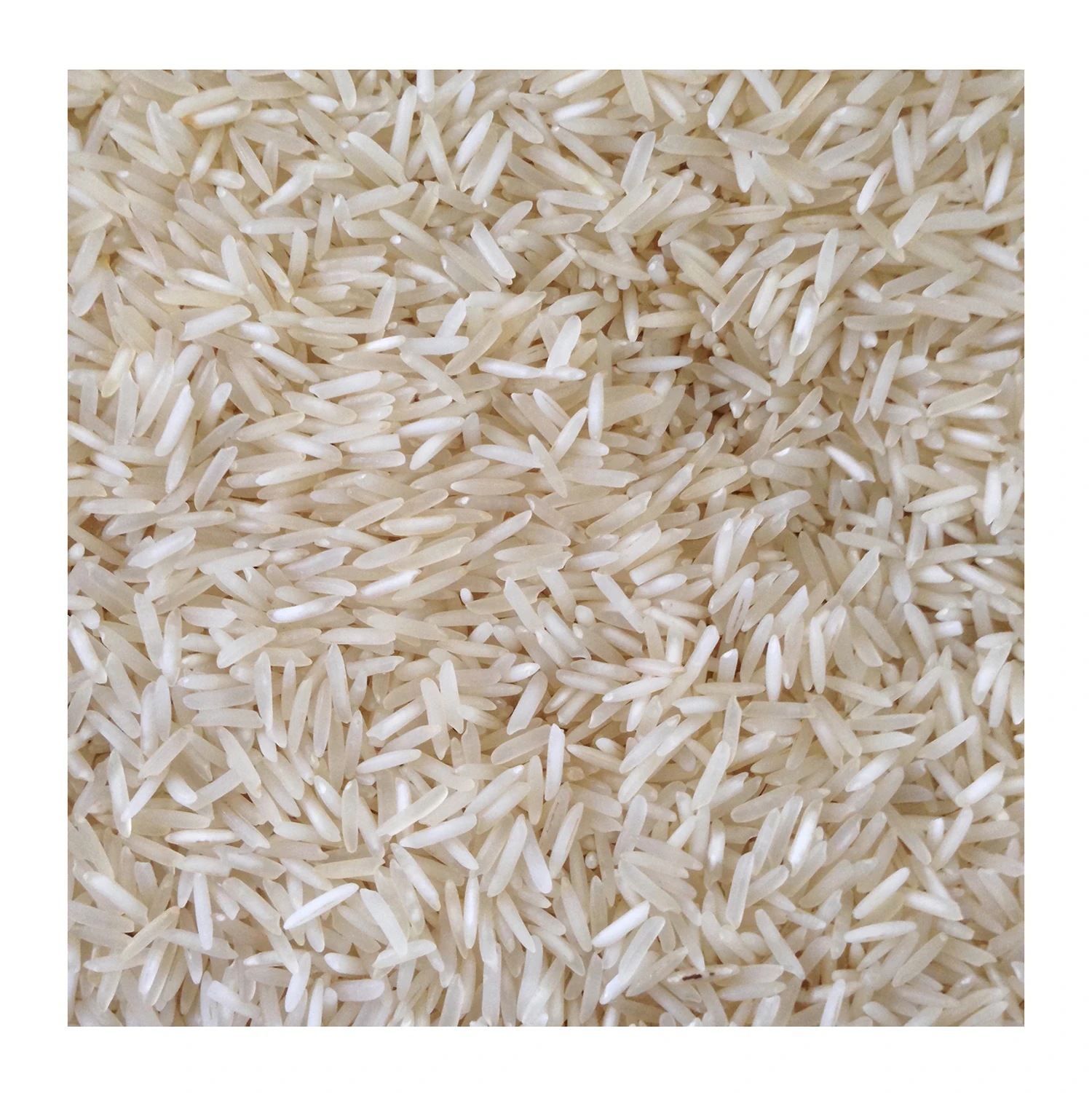 Tasty Pure Organic Long Grain Rice Wholesale Price Cultivated Dried Long Grain Rice Home Cooking Rice From Pakistan