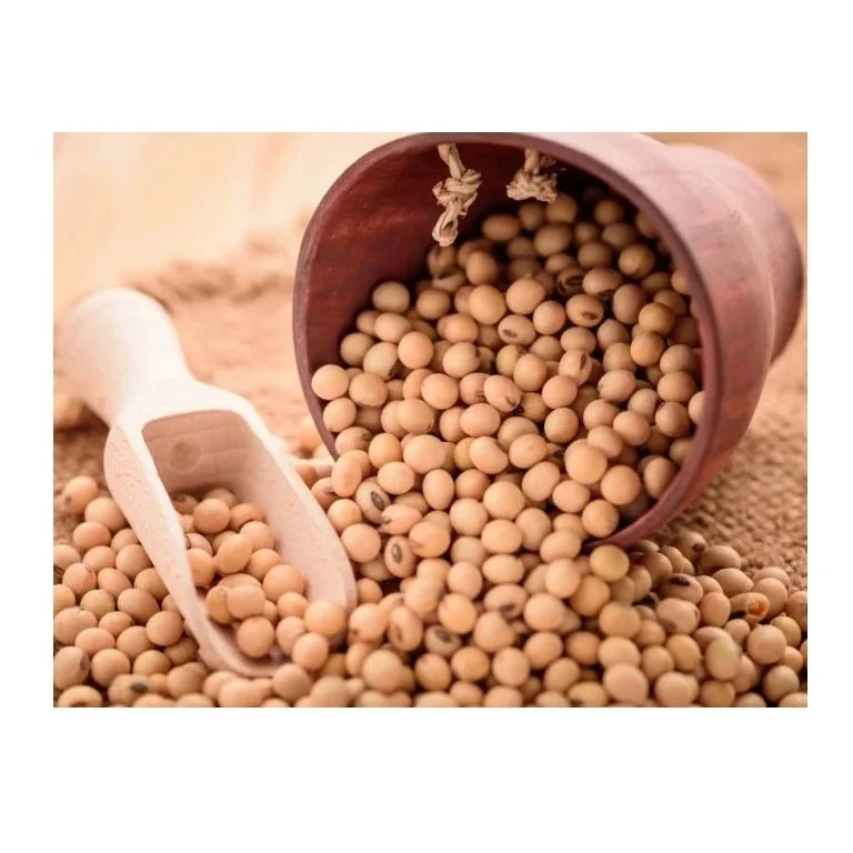 Soybean Meal 46% Protein - Soybean Animal Feed Organic Animal Food Soy Bean Meal Price in Bulk
