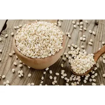 Bulk Supply of Top Quality Barley Grain for Food Industry Wholesale/ Hot Sale